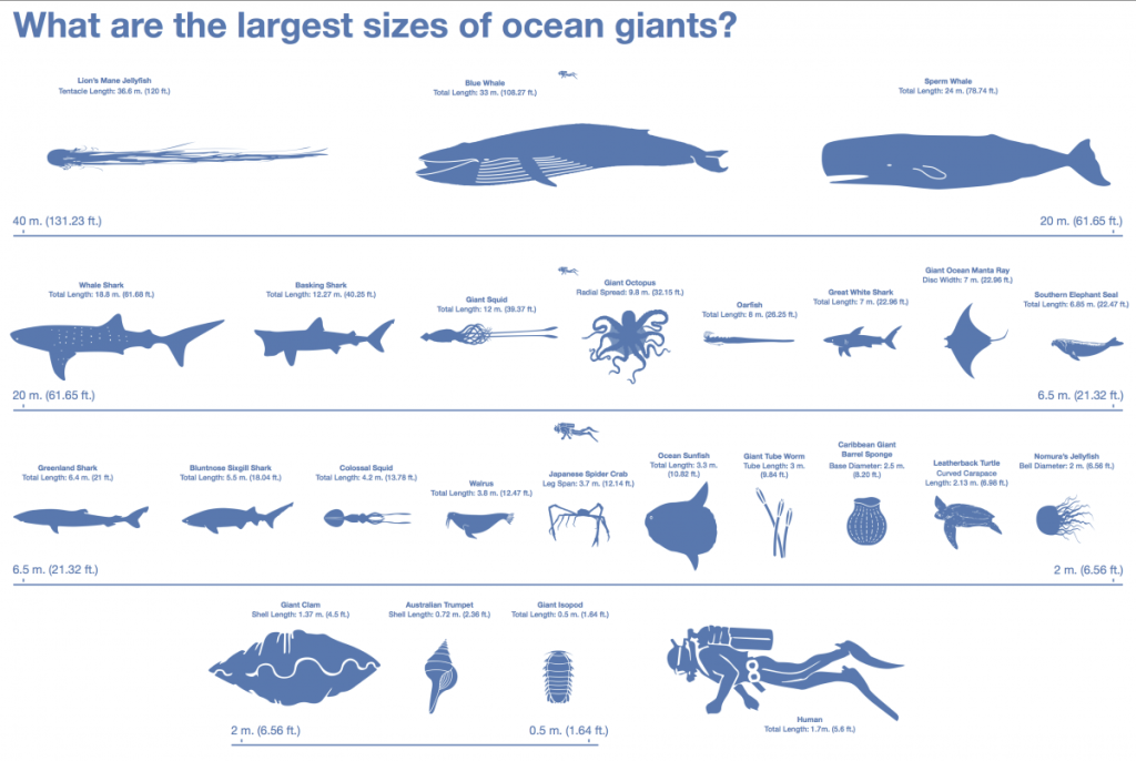 megafauna